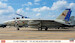 F14D Tomcat "VF213 Blacklions' Last cruise has-02406