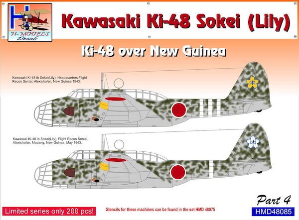 Kawasaki Ki48 'Lily' over New Guinea, Pt.4  HMD48085
