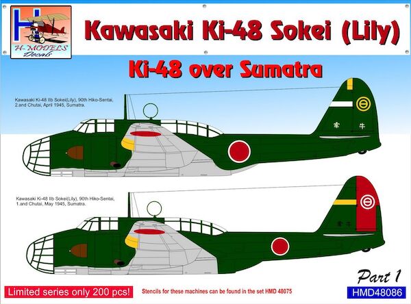 Kawasaki Ki48 'Lily' over Sumatra, Pt.1  HMD48086