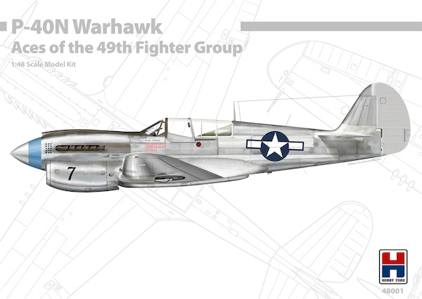 Curtiss P40N Warhawk "Aces of the 49th FG"  48001