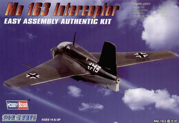 Messerschmitt Me163B Interceptor  80238