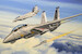 Grumman F14B Tomcat 80277
