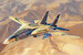 Grumman F14A Tomcat "PERSIAN CAT"  IRIAF 82771
