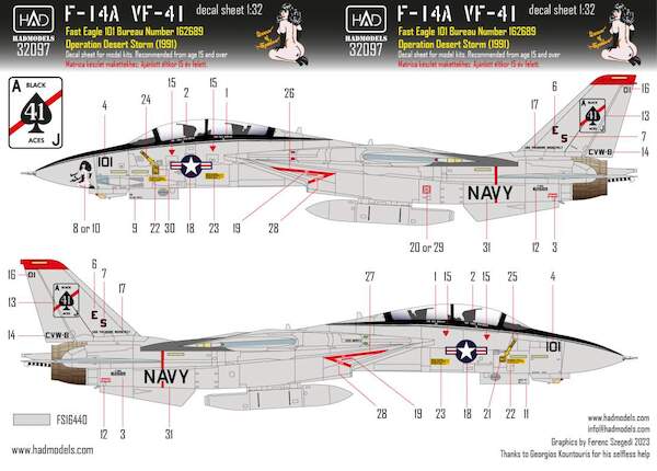 Grumman F14A (VF41 Black Aces Operation Desert Storm)  HAD32097