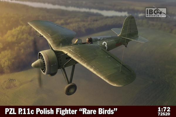 PZL P.11c Polish Fighter "Rare Birds"  72520