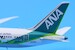 Boeing 787-9 Dreamliner ANA All Nippon "ANA Future Promise Livery" JA871A  SA4014
