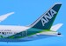 Boeing 787-9 Dreamliner ANA All Nippon "ANA Future Promise Livery" Flap Down JA871A  SA4014A