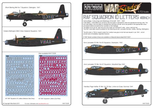 RAF Squadron ID Letters 48 inch Grey  kw172025
