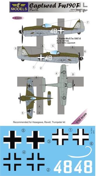 Captured Focke Wulf FW190F Part2  C3289