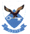 SAAF TFDS Badge  72-100