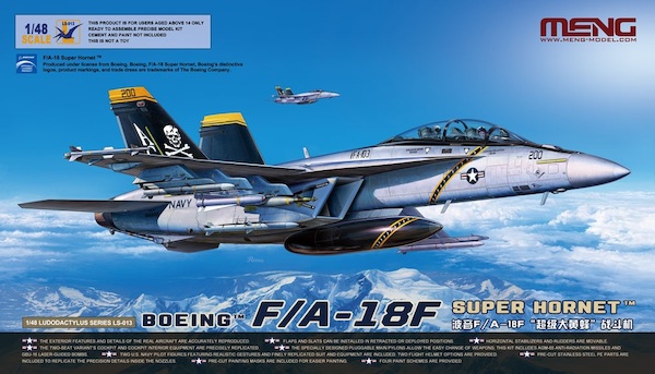 Boeing F/A-18F Super Hornet  LS013