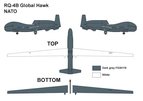 RQ-4B Global Hawk (NATO)  MINI311