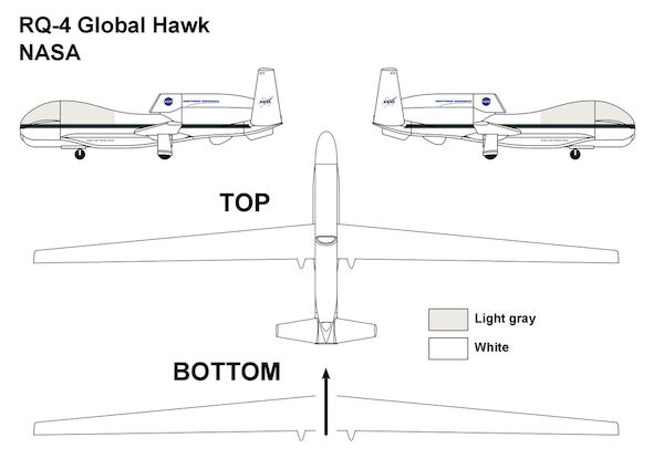 RQ-4B Global Hawk (NASA)  MINI312