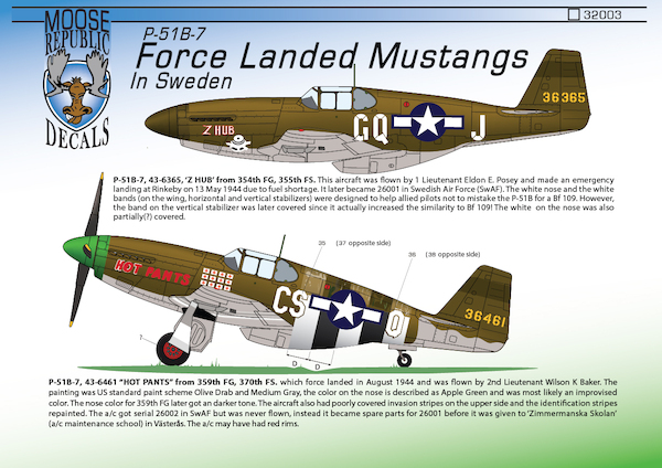 Forced Landed P51B Mustangs in Sweden  32003