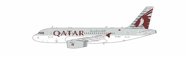 Airbus A319-100ACJ Qatar Amiri Flight A7-HHJ  49007