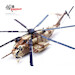Sikorsky CH-53E BuNo 162493 USMC HMH-466 "Wolfpack" The infamous Nekkid Lady Operation Desert Shield/Storm 1990/1991