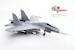 SU-30MKK Flanker PLA Sea and Air Eagle Regiment Low Visible Painting Unit 17 (Chinese Air Force)  14645PE17