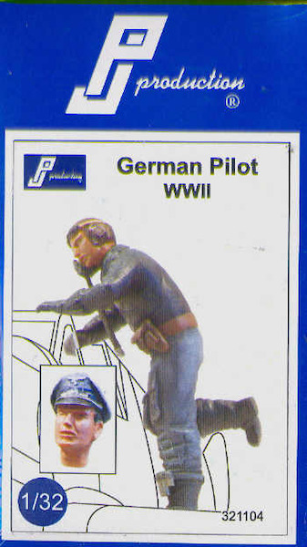 German Pilot WWII  321104