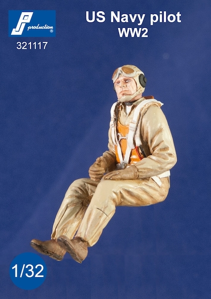US Navy pilot seated in a/c (WW2)  321117