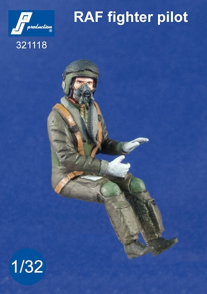 RAF fighter pilot seated in a/c (modern)  321118