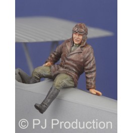 WW1 Pilot  481117
