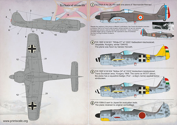 Focke Wulf FW190 in Foreign Service Part 1  PRS72-393
