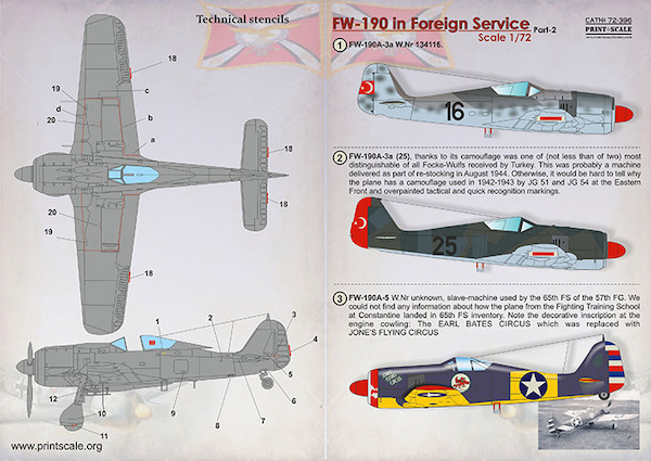 Focke Wulf FW190 in Foreign Service Part 2  PRS72-396