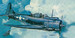 Douglas SBD-5 Dauntless