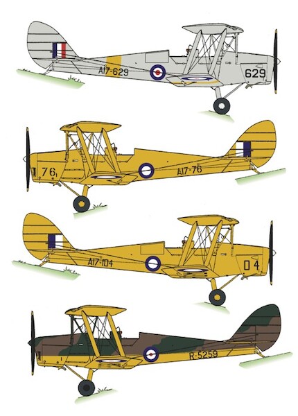 Tiger Moth (RAAF)  RRD4828
