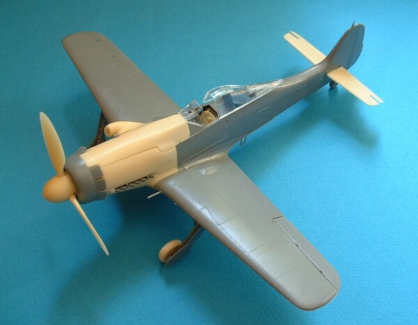 Focke Wulf FW190D-13 conversion (Tamiya)  rf-48012