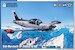 SIAI-Marchetti SF-260EA/D/EU ‘ Late Bulged Canopy Type’ SH48215