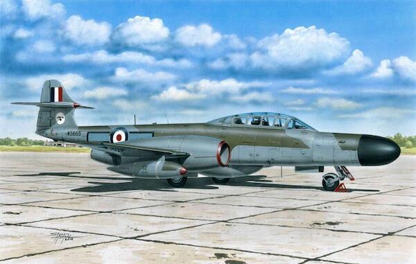 A.W Meteor NF MK12 "Defending the UK Skies"  SH72360