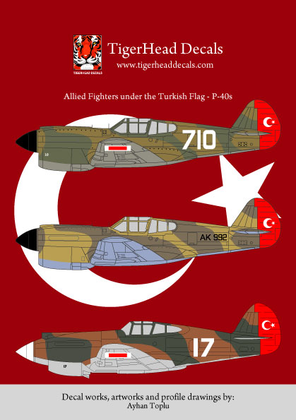 Allied fighters under Turkish Flag: P40  48001