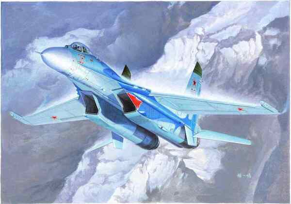 Russian Suchoi Su27 Flanker B  01660
