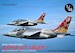 Alpha Jet ("Jger" 20th Anniversary Special markings) VMS044801