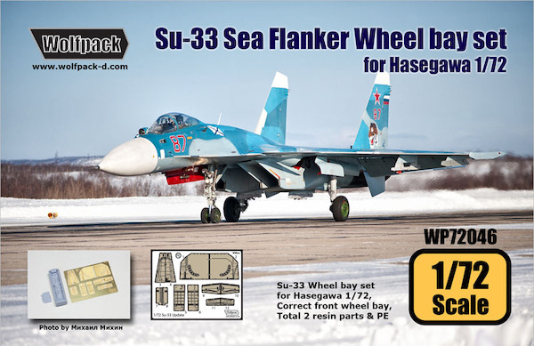 Suchoi Su33 Sea Flanker wheel bay set (Hasegawa)  WP72046