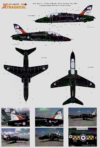 BAe Hawk T1 2009 100 years of Naval Aviation (RAF74rsq, 10rsq, 208rsq)  X48079