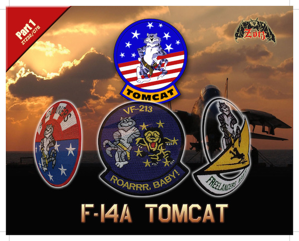 F-14 Tomcats part 1  ZTZ32-078