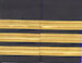 Set of two 3 gold bar Epaulettes with black background. ( 13 mm bar) 