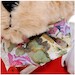 Stewardess Teddy Bear Plush With Uniform 25cm  BERIN