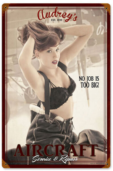 Audrey's Aircraft Service & Repair: No job is too big! - pin up PTS-EC010