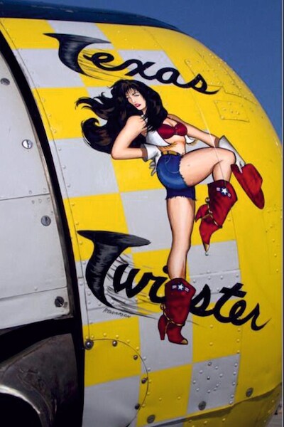 Texas Twister Pin up  on plane metal poster metal sign  V4-Texas