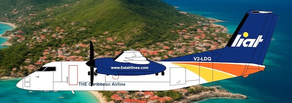De Havilland Dash 8-Q100 Liat V2-LDQ  3DD0151