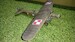 Fokker F7/3m Bomber  version (Polish AF)  3DPW32F7-2
