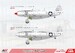 Republic XP-72 experimental.fighter (Contra rotating prop)  AAM4817