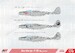 Northrop F15A "Reporter" reconnaissance aircraft  AAM7233