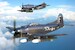 AM-1 "Mauler" (Late vers.) carrier-based US attack aircraft aam7239
