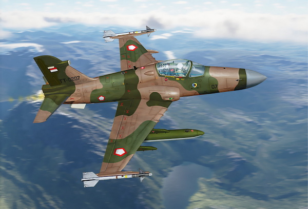 Hawk 209 light fighter (Indonesian A.F.) AAM7252