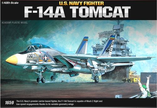 F14A Tomcat  12253
