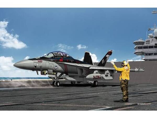 USN EA18G Growler "VAQ141 "Shadow Hawks" 12560
